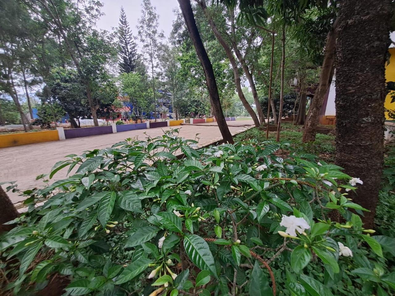 Ushodaya Resorts Araku Luaran gambar