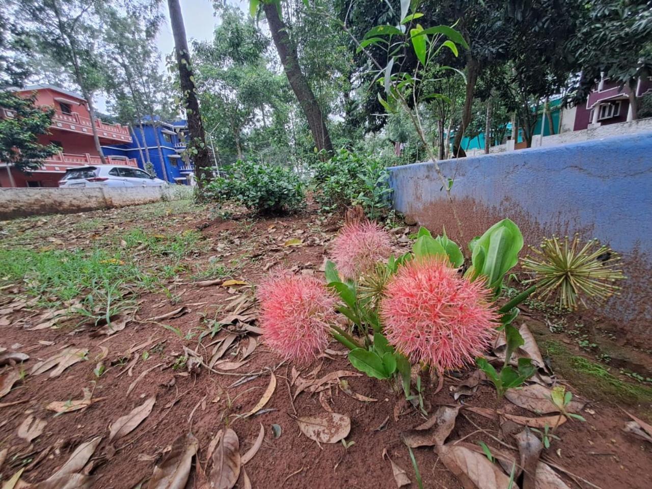 Ushodaya Resorts Araku Luaran gambar